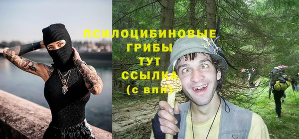 ECSTASY Абаза