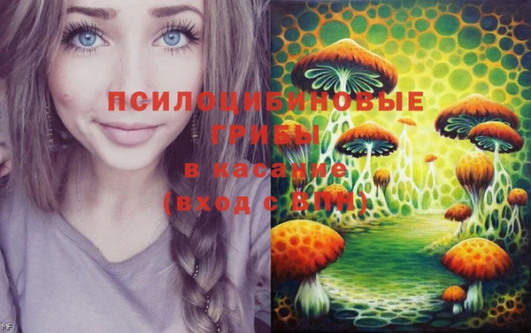 ECSTASY Абаза