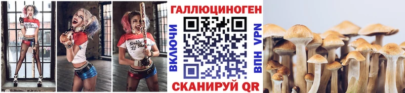 Галлюциногенные грибы Psilocybe  hydra как войти  Благовещенск  закладки 